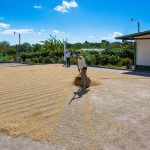 Coffee Drying